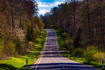 Road with cloudy sky and nice forset