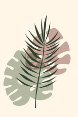 Fototapeta na wymiar Palm leaf monstera rainforest leaf pattern background.
