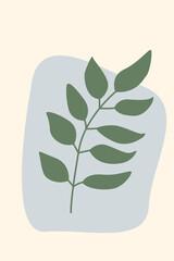 Tropical rainforest jungle exotic leaf pattern background.