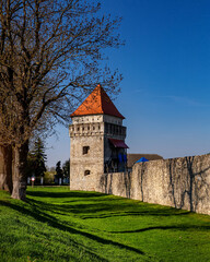 Fototapeta na wymiar Skalatsy castle in Skalat town, Ternopil region, Ukraine. Trevel destination and castles in Ukraine