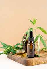 cbd oil and cannabis leaves cosmetics front view on orange background