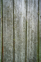 old wooden plank wall