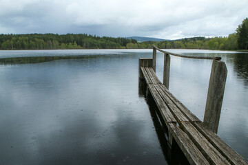 Fototapeta premium The old wooden pier over the surface of the pond in Czech nature during the cloudy day with a fine rain. 