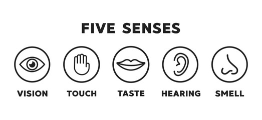 Five senses vector icons set. vision, hearing, touch, taste, smell