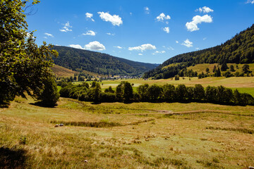 A landscape with pastures, trees and hills in the High Black Forest in summer near the village of Menzenschwand, Baden-Württemberg, Germany