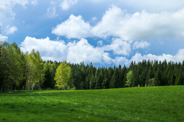 Fototapeta na wymiar The beautiful pastures in the Šumava national park in Czech Republic with a fresh green grass during the beautiful sunny day. 