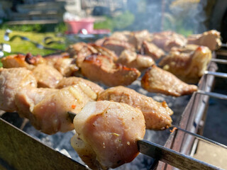 Delicious beautiful fried pork skewers on the smoke cooked on the grill with skewers with coals. Barbecue in nature. BBQ