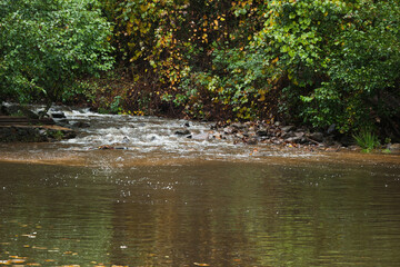 Obraz na płótnie Canvas Cascading stream in nature