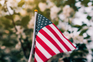 Miniature flag of America on the background of a flowering tree. Politics, learning a foreign...