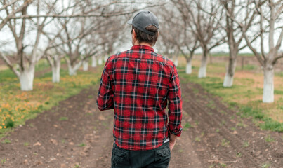 Obraz premium Rear view of handsome confident farmer in walnut fruit orchard