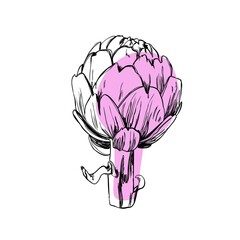 Artichoke botanical hand drawn Isolated vector illustration. Organic vegetarian product. Artichoke symbol applicable for restaurant menu or packaging, label, poster, print. Engraving style