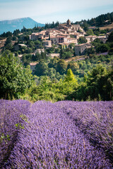 Landscape with lavender field and village © almoderna