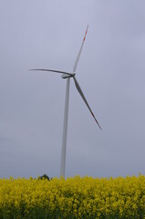 Świętokrzyskie  wiatraki , farma gmina Bogoria , wiatraki Bogoria ,dęty, energetyczne, wiatrak, moc, turbina, elektrycznośc, okolica, generator, niebo, alternatywa, , pola, turbina wiatrowa,  © Szymon