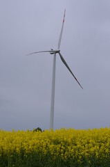 Świętokrzyskie  wiatraki , farma gmina Bogoria , wiatraki Bogoria ,dęty, energetyczne, wiatrak, moc, turbina, elektrycznośc, okolica, generator, niebo, alternatywa, , pola, turbina wiatrowa,  © Szymon
