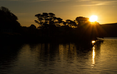 Sun setting behind waterside trees	