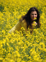 Fototapeta premium Rapsfeld, rapeseed field
