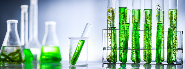 science laboratory of green alga experiment research in biotechnology, macro industry technology,...