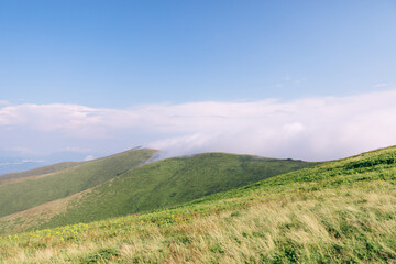 beautiful panoramic view of the valley leading up to the mountains.