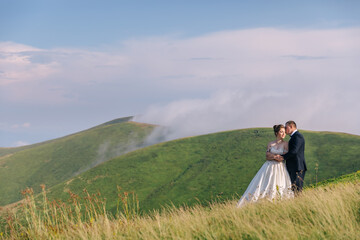 Walk along the mountain lawn. Carpathians in the background. Newlyweds on their wedding day.