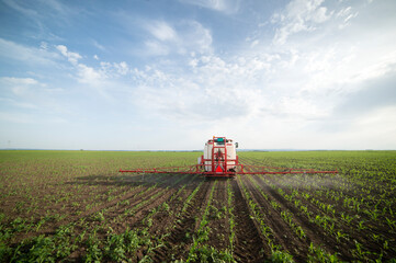 Tractor spraying pesticides at corn fields - obrazy, fototapety, plakaty