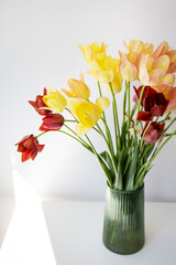 Bouquet of multi-colored tulips in a green vase. Fresh spring flowers, floral background. Holiday concept.