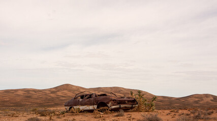 Abandoned rusted car wreck in a desert. The car rolled in the accident and was flattened, plants have started to grow around it.