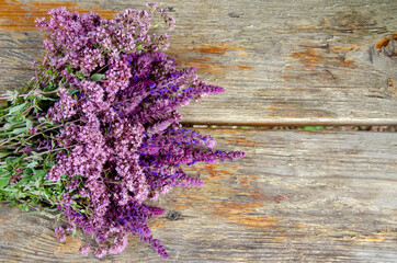 Spring flowers. Lilac flowers on wooden background