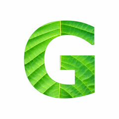 Uppercase Alphabet Letter G - Tropical green leaf texture