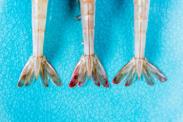 Closeup of shrimp tails