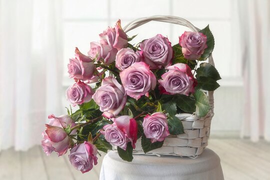 Still life with basket of roses