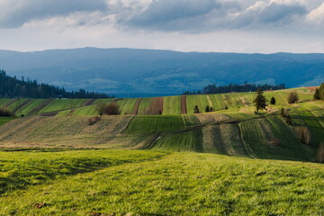 Fields on Podhale Region in Poland
