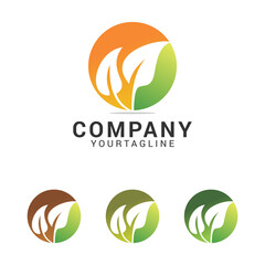 Creative and modern leaf for natural and environment logo design