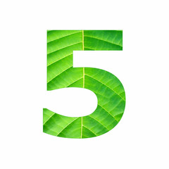 Number digit five - Tropical green leaf texture