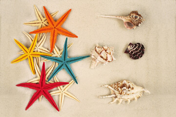Colorfully painted Starfishes and seashells on light gray sand. Top down view. Closeup