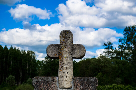 
Old stone cross in nature, forest in the background, photo in the afternoon