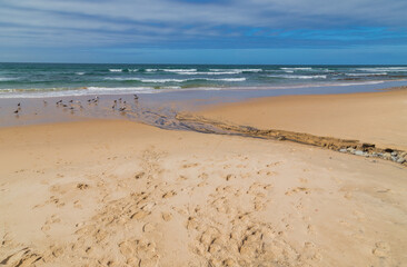 Beautiful beach in Alentejo