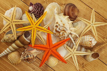 Sea shells and colorfully painted Starfishes on brown wooden background. Top down view. Closeup