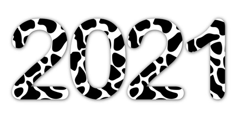 New Year of the bull 2021. Spotted cow color black and white. Creative numbers for printing on postcards, pillow decor, book covers, websites. 