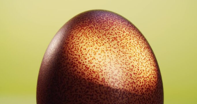 Beautiful bright chicken egg, bright juicy picture. Easter. Color correction, a beautiful brown egg with freckles rotate around an axis on the background