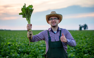 Farmer in a sugar beet field. Agricultural concept