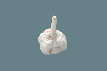 Dried garlic head.