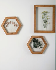 Dry flowers in a frame. walls with botanical leaves. Eco-friendly boho decor.