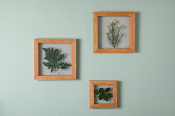 Dry flowers in a frame. walls with botanical leaves. Eco-friendly boho decor.