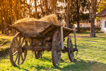 Fototapeta na wymiar An old wooden cart, loaded with straw, in the rays of the setting sun