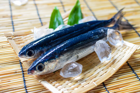 氷で冷やすトビウオ