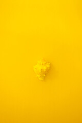 Small tinted yellow seashell on bright yellow background from above