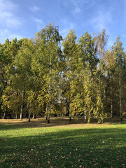 park in autumn