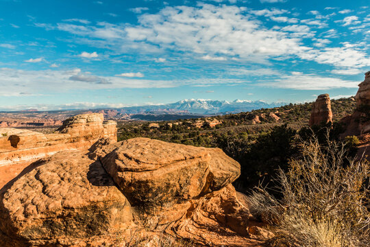 Slick Rock and The Snow Capped La Sal Mountains on The Broken Arch Trail, Arches National Park, Utah, USA