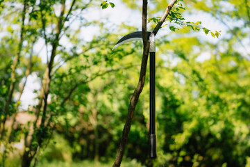 Scythe in tree in forest