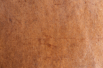 leather grunge background: an old piece of tough camel skin, with scuffs, spots, scars